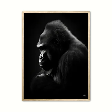 Gorilla plakater