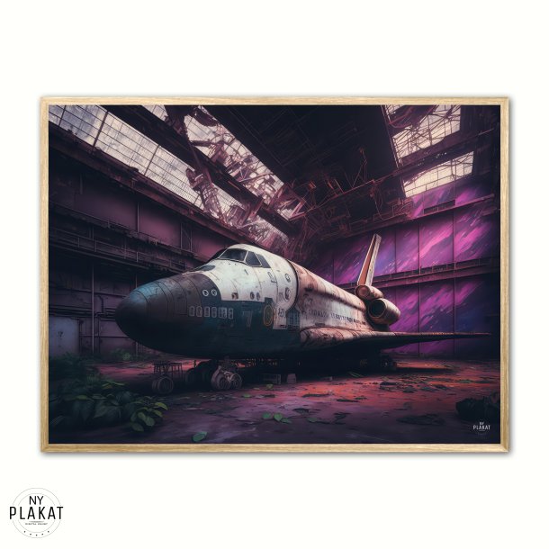 Abandoned space shuttle - RON