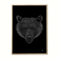 Bjrn - Scribble plakat