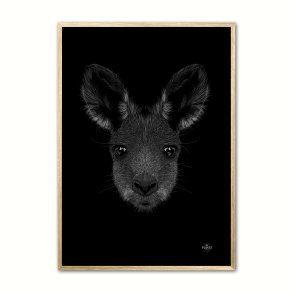 Knguru - Scribble plakat