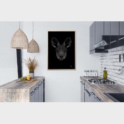 Knguru - Scribble plakat