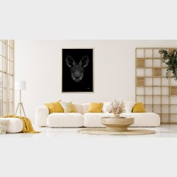 Knguru - Scribble plakat