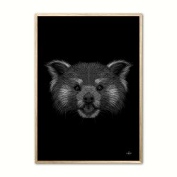 Rd Panda - Scribble plakat