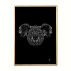 Koala - Scribble plakat