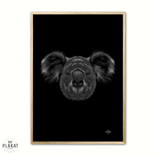 Koala - Scribble plakat