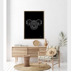 Koala - Scribble plakat