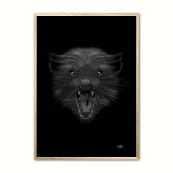 Tasmansk Djvel - Scribble plakat