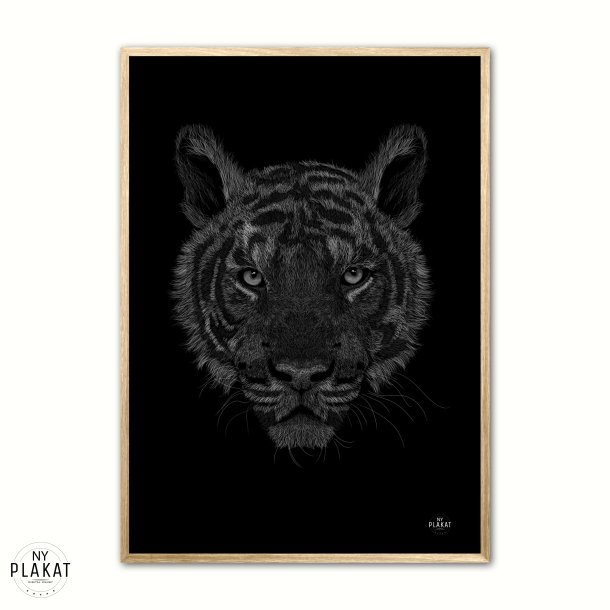 Bengalsk Tiger - Scribble plakat