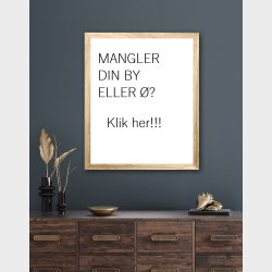 Mangler din by eller ?