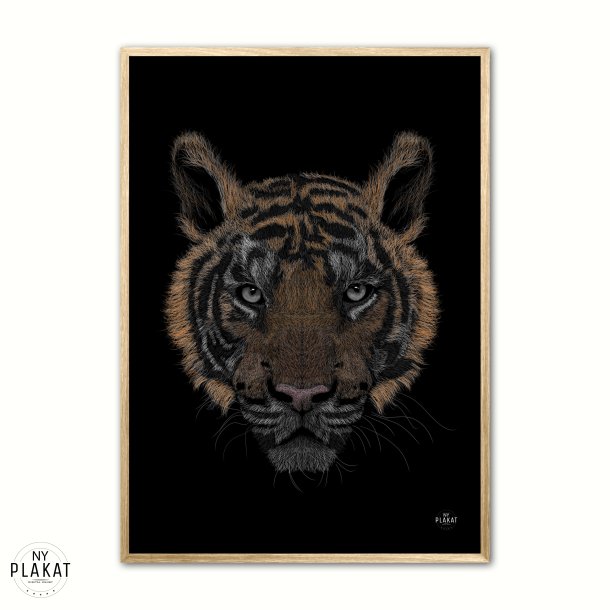 Bengalsk Tiger i farver plakat