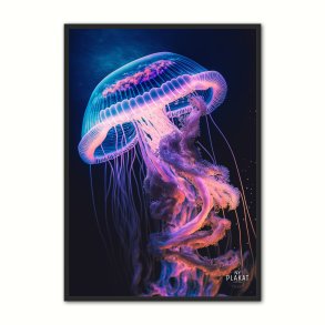 Jellyfish plakat No. 6