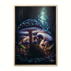 Fortryllet Svampe plakat Nr. 1