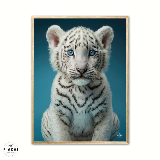 Albino Bengalsk Tiger plakat - Bl