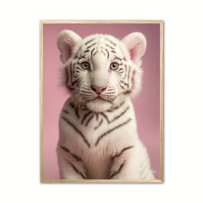 Albino Bengalsk Tiger plakat - Pink