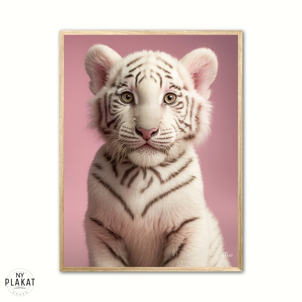 Albino Bengalsk Tiger plakat - Pink