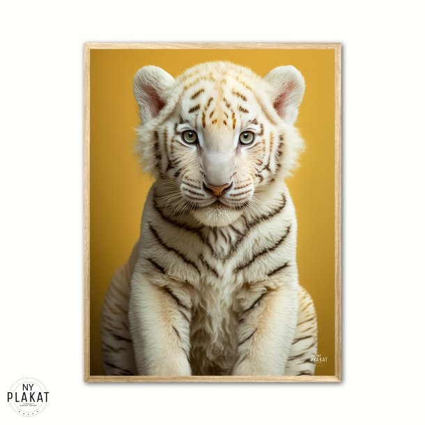 Albino Bengalsk Tiger plakat - Gul