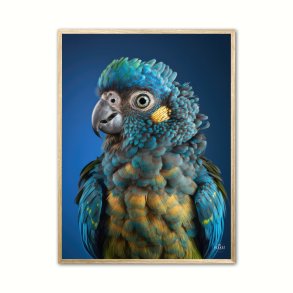 Papegje plakat - Bl 1