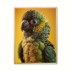 Papegje plakat - Gul 1
