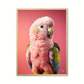 Papegje plakat - Pink 2