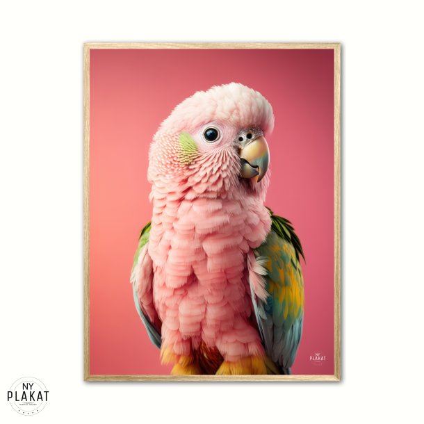 Papegje plakat - Pink 2