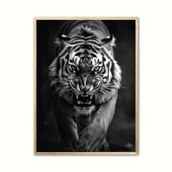 Tiger plakat 4 - Wild Life