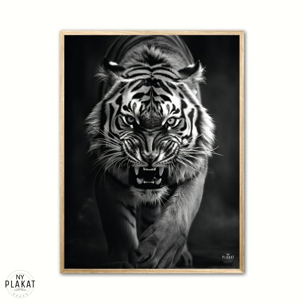 Tiger plakat 4 - Wild Life