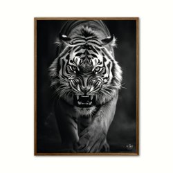Tiger plakat 4 - Wild Life