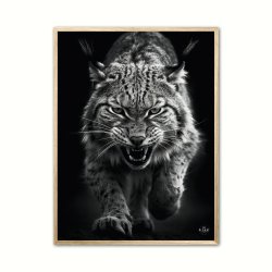 Los plakat 2 - Wild Life