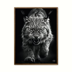 Los plakat 2 - Wild Life