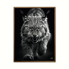 Los plakat 2 - Wild Life