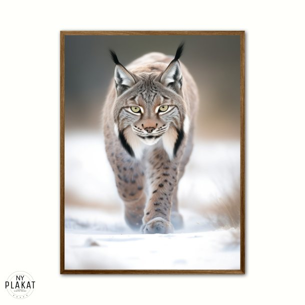 Los 1 - Wild Life plakat