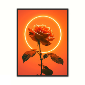 Orange Rose - Plakat