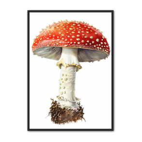 Svampe Plakat 16 - Naturplakat