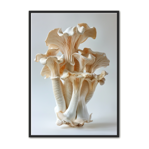 Svampe Plakat 26 - Naturplakat