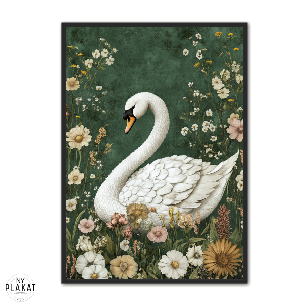 Svane Plakat 20 - Flora