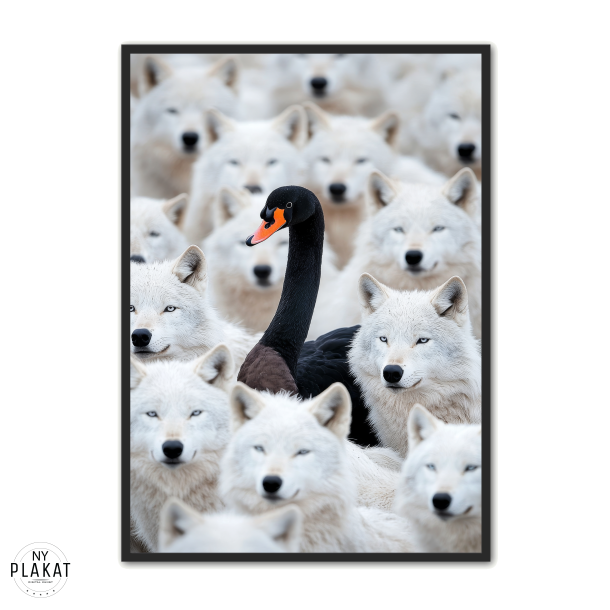 Svane Plakat 23 - Den Sorte Svane 21 x 29,7 cm (A4)