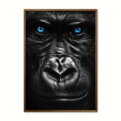 Blue Eyes - Plakatsæt