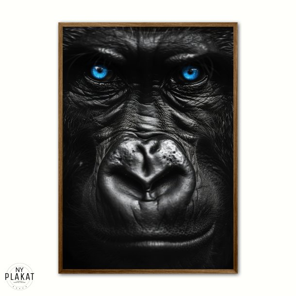 Blue Eyes - Plakats�t