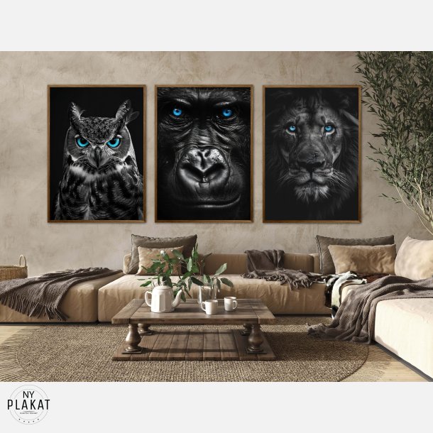 Blue Eyes - Plakats�t