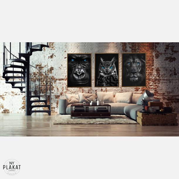 Blue Eyes - Plakats�t