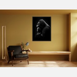 Gorilla Plakat 9