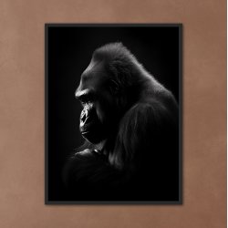 Gorilla Plakat 9