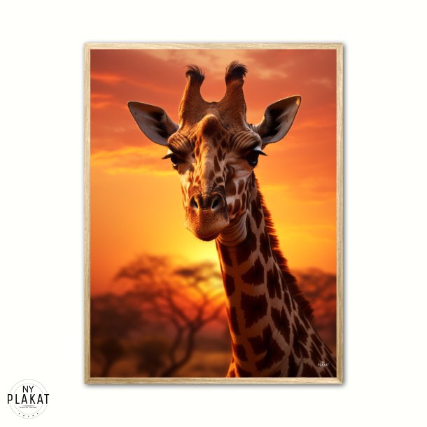 Giraf Plakat 5