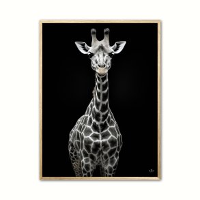 Giraf Plakat 8