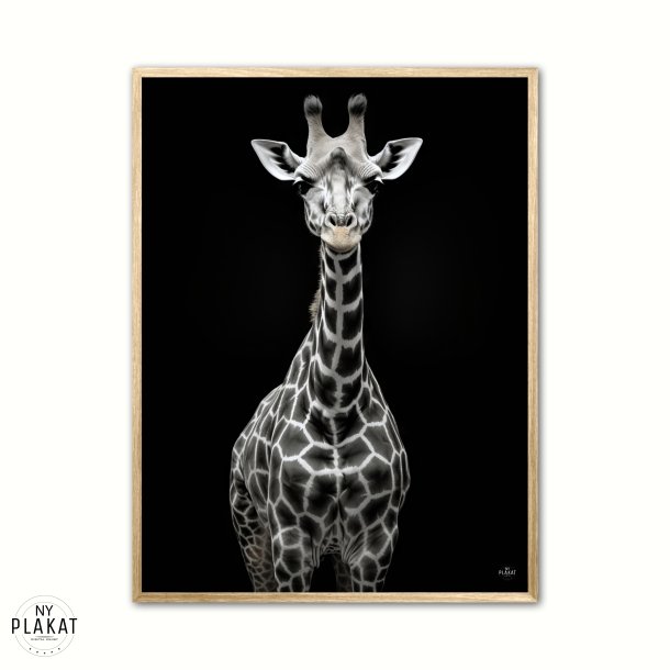 Giraf Plakat 8