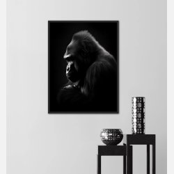 Gorilla Plakat 9