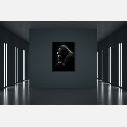 Gorilla Plakat 9