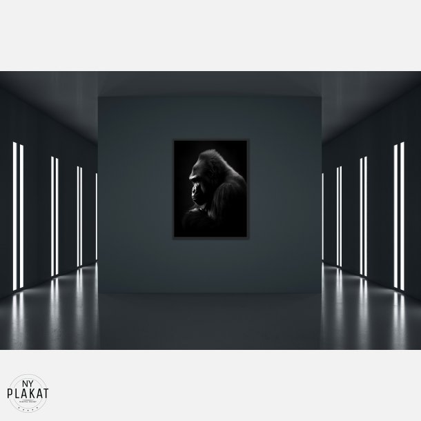 Gorilla Plakat 9
