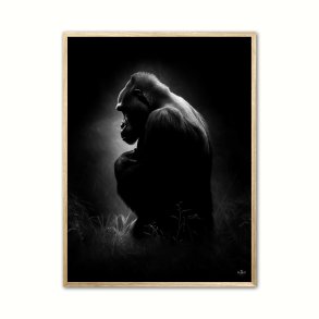Gorilla Plakat 10