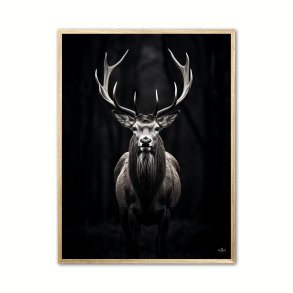 Hjort Plakat 8